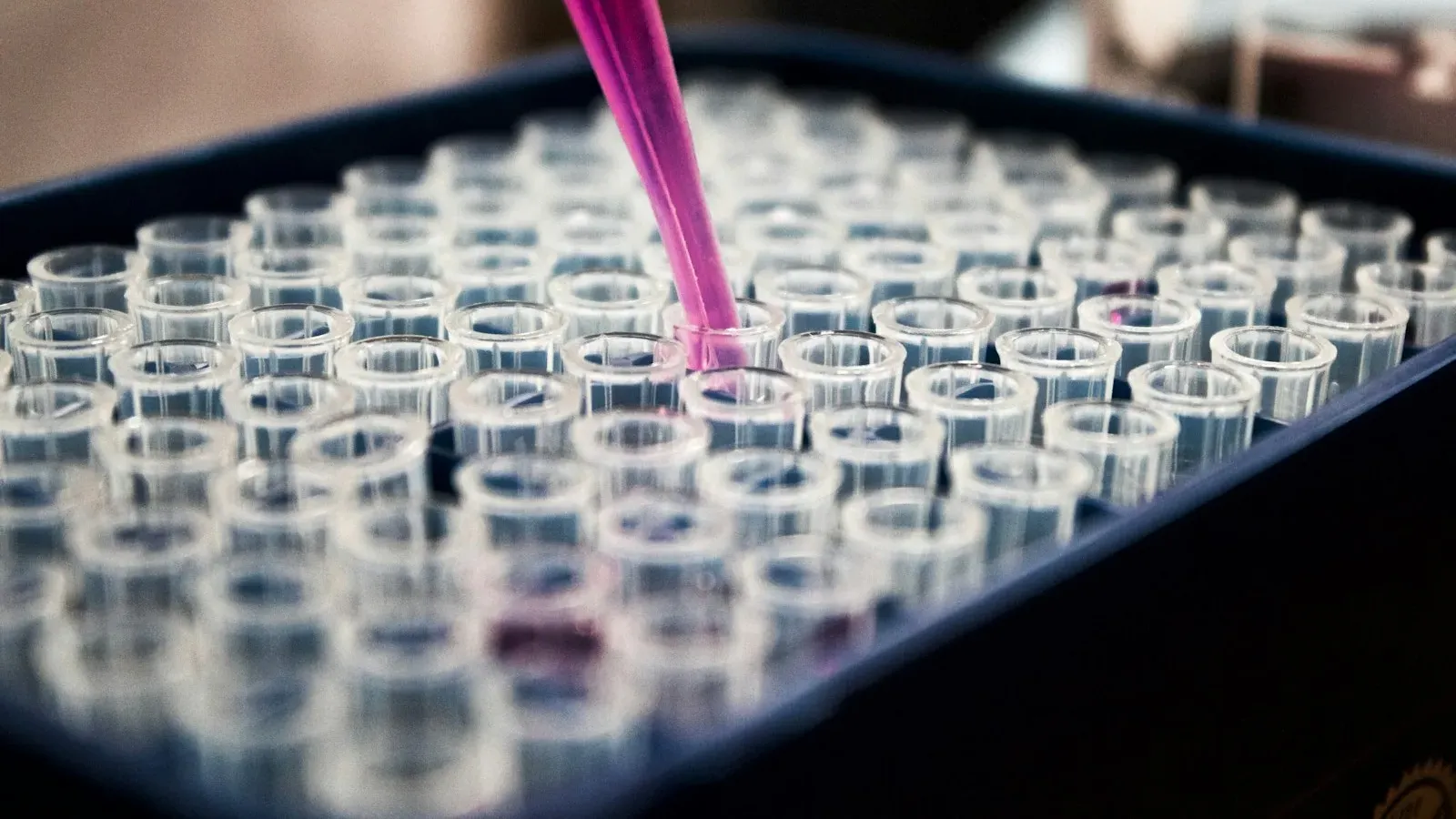 Chercheuse en laboratoire manipulant des échantillons dans un environnement biotech